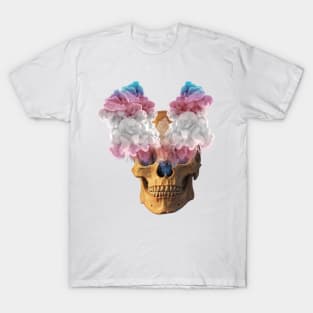 Subtle Trans Flag Halloween Skull T-Shirt